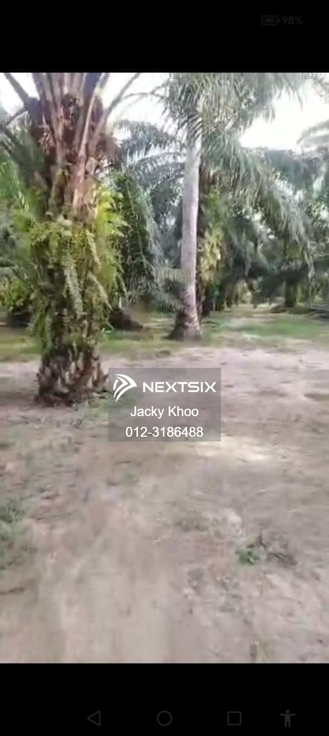 Agricultural Land For Sale in Banting Selangor - Image 3