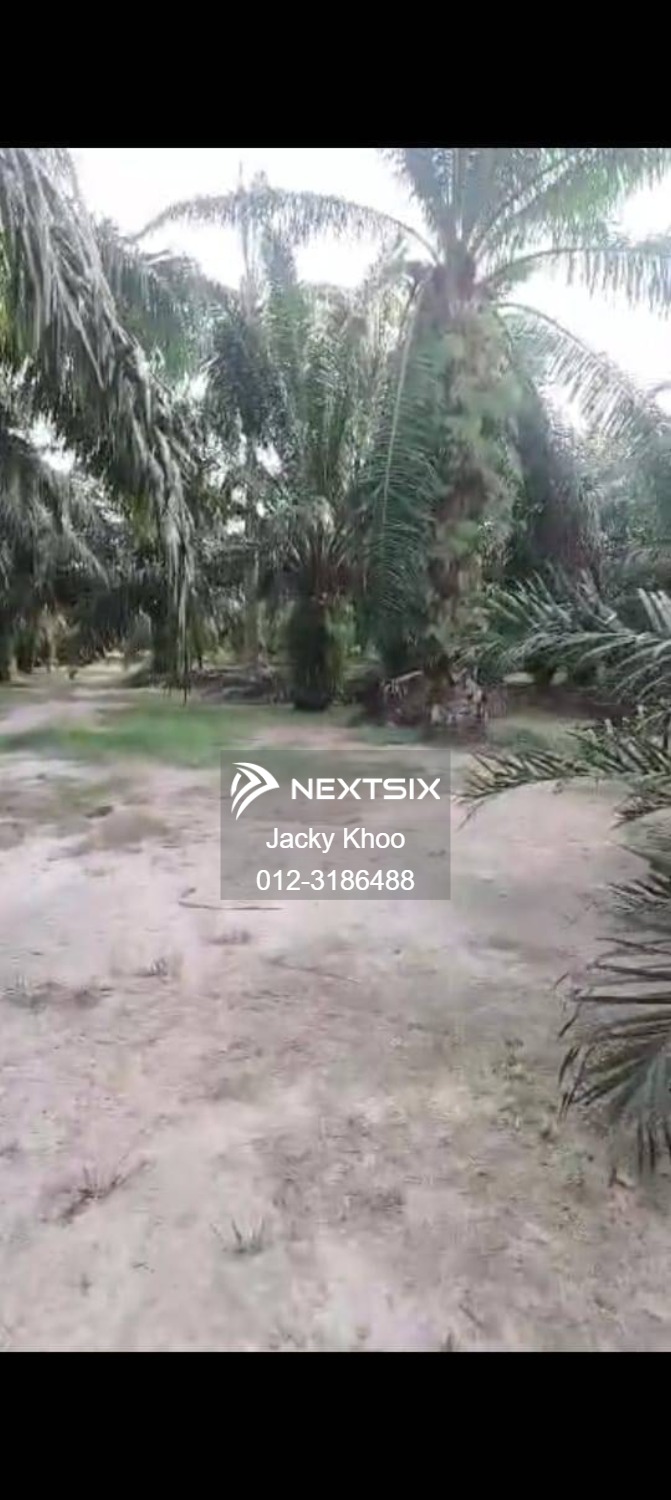 Agricultural Land For Sale in Banting Selangor - Image 4