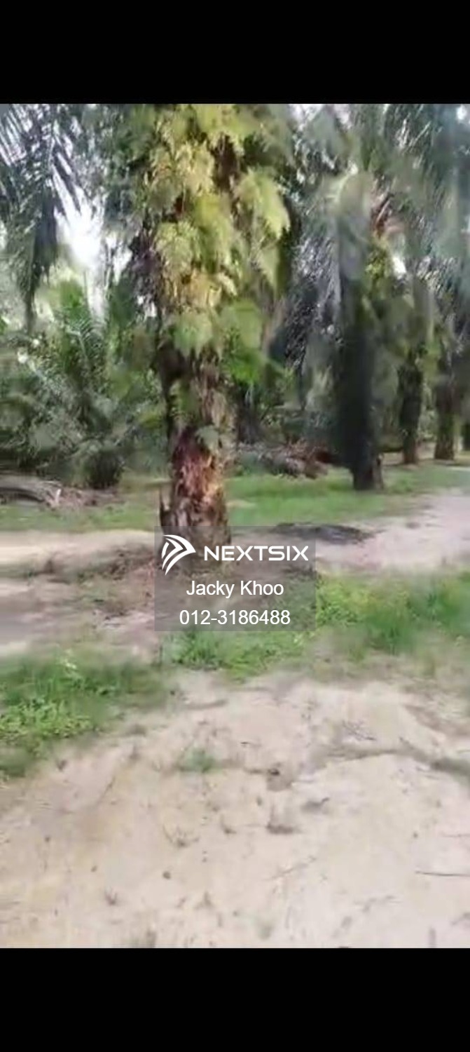 Agricultural Land For Sale in Banting Selangor - Image 6