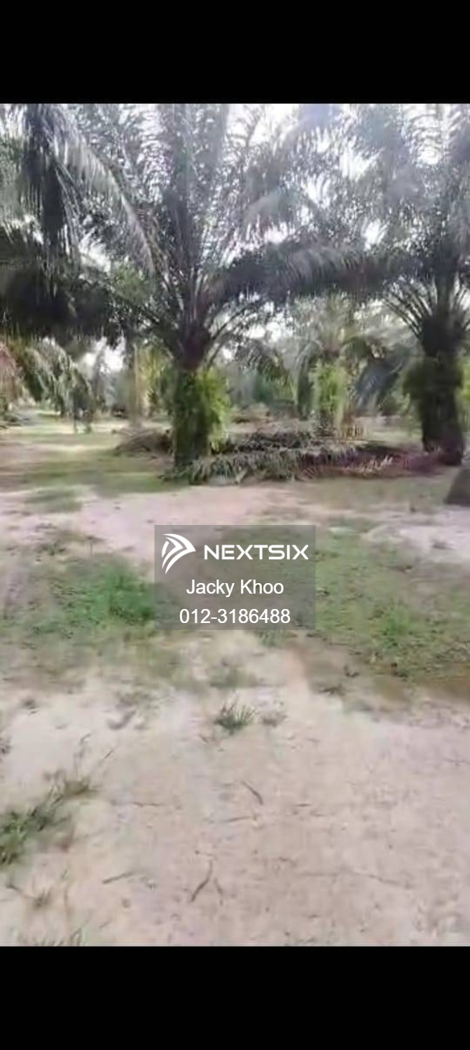 Agricultural Land For Sale in Banting Selangor - Image 8