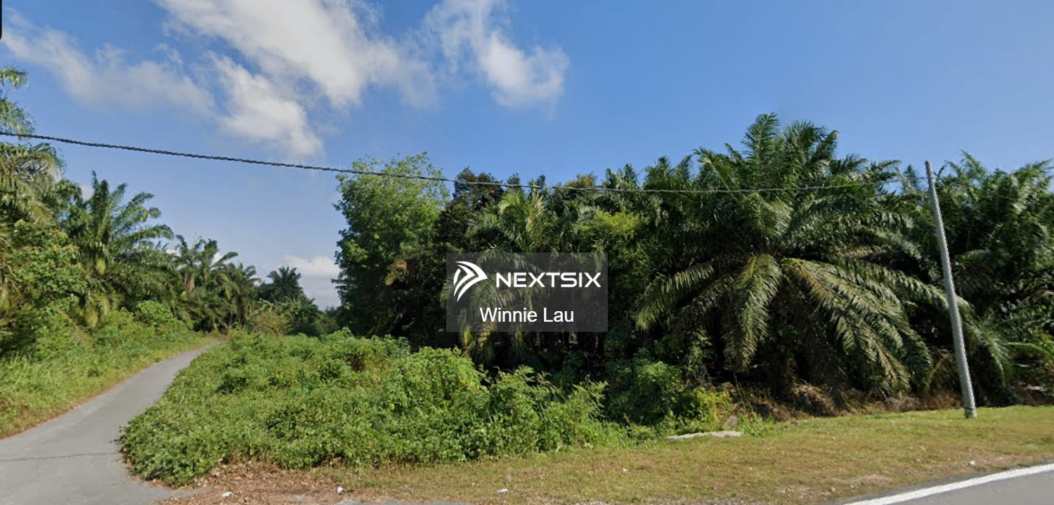 Agricultural Land For Sale in Pontian Johor