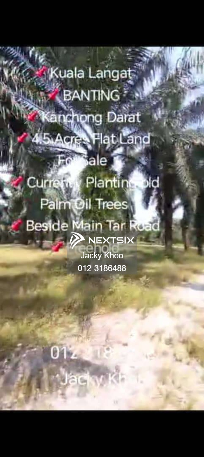 Agricultural Land For Sale in Banting Selangor