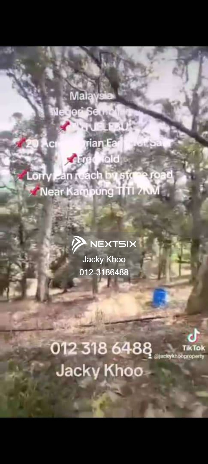 Agricultural Land For Sale in Titi Negeri Sembilan