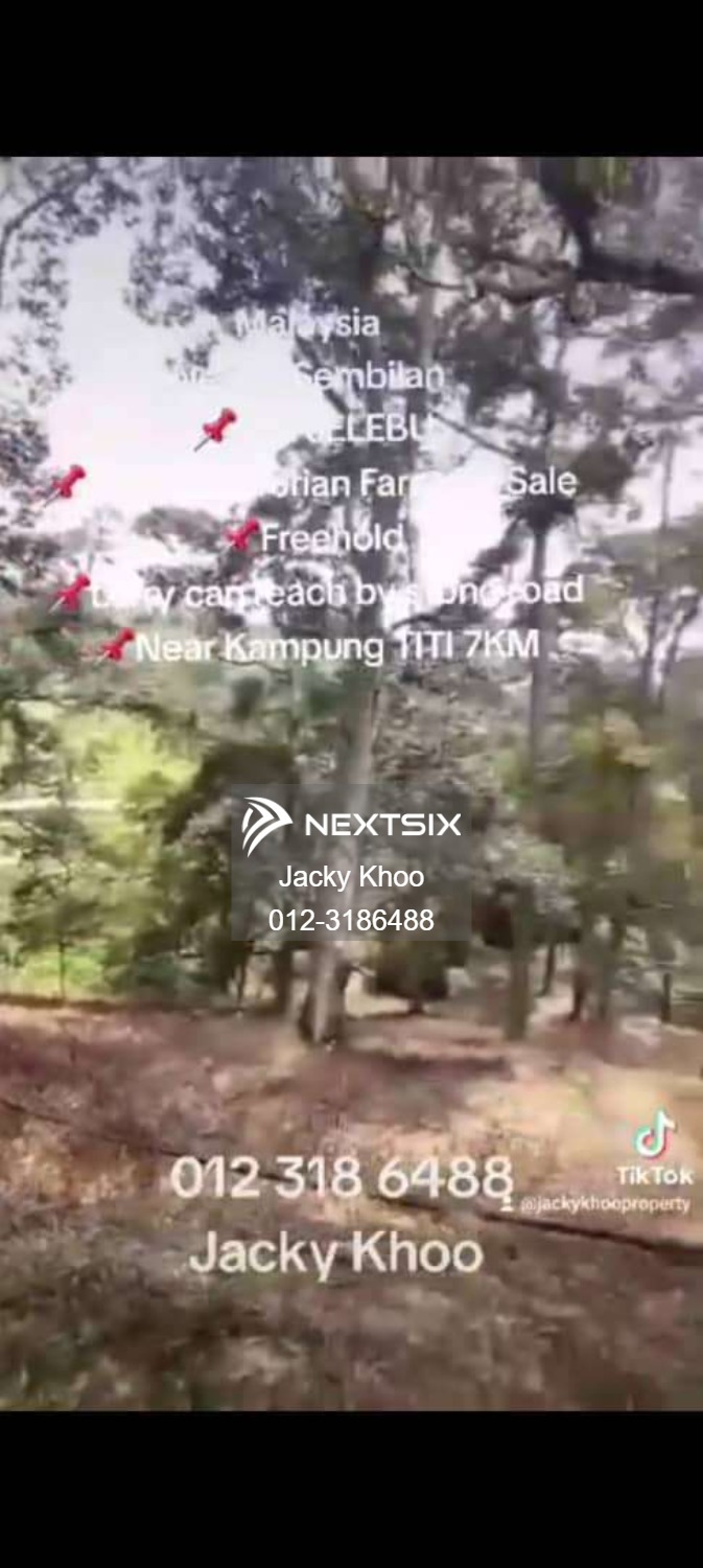 Agricultural Land For Sale in Titi Negeri Sembilan - Image 2