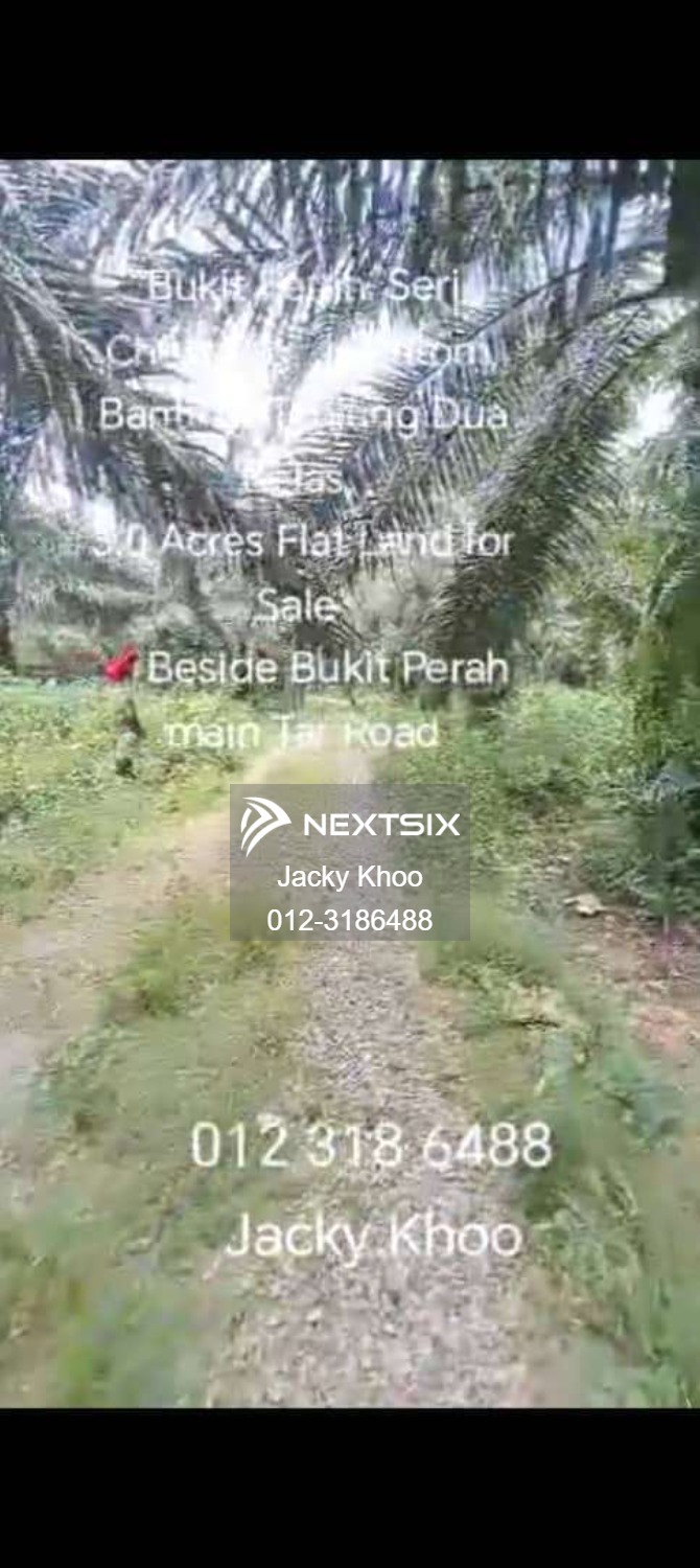 Agricultural Land For Sale in Tanjong Duabelas Selangor - Image 3
