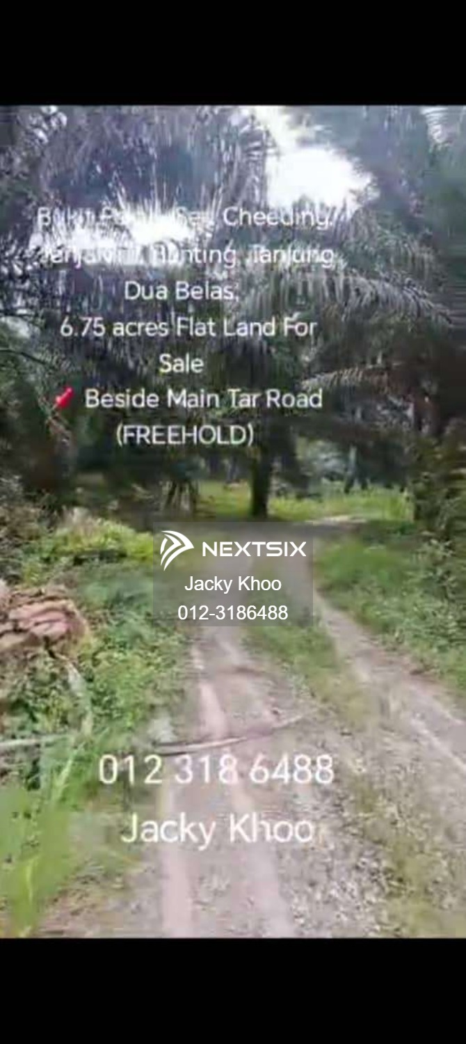 Agricultural Land For Sale in Tanjong Duabelas Selangor - Image 3