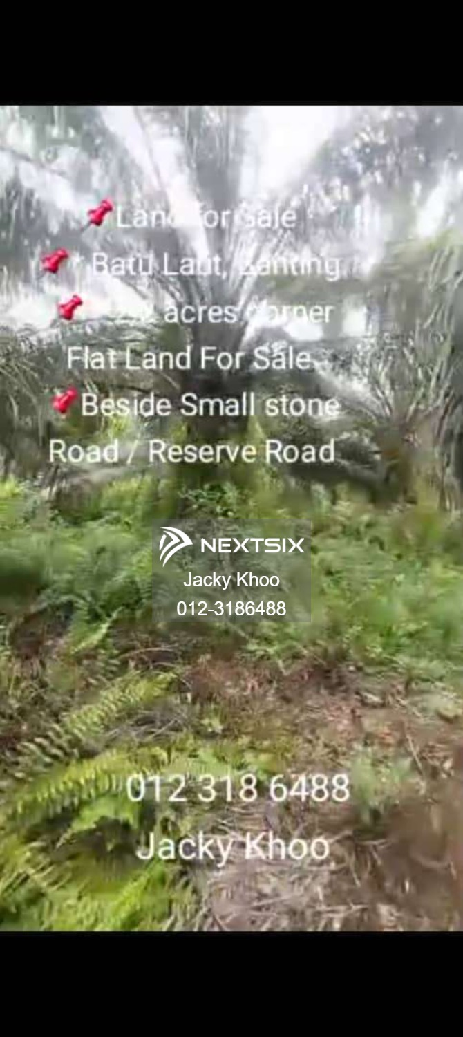 Agricultural Land For Sale in Banting Selangor - Image 3