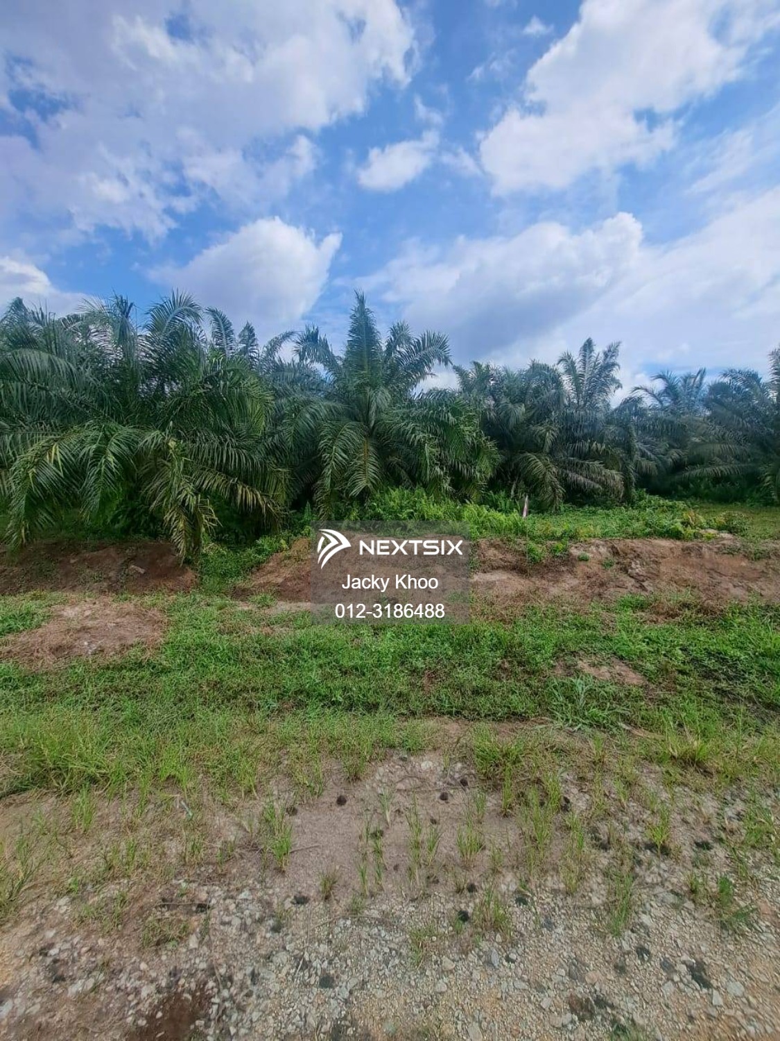 Agricultural Land For Sale in Banting Selangor