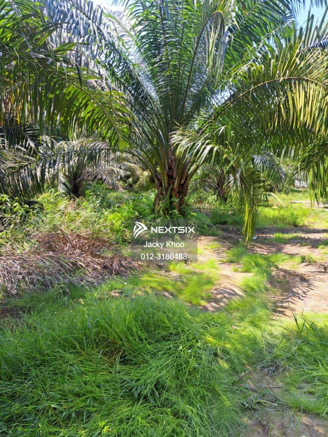 Agricultural Land For Sale in Banting Selangor