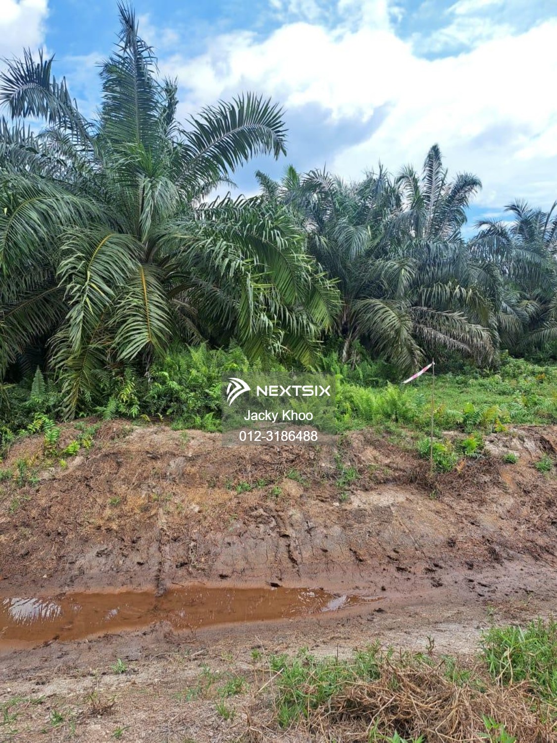 Agricultural Land For Sale in Banting Selangor - Image 2