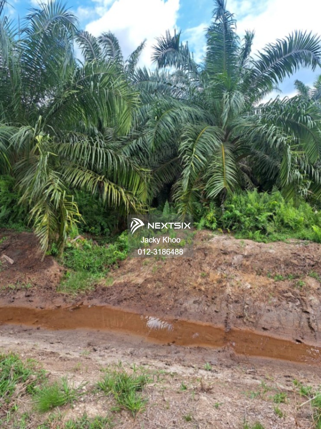 Agricultural Land For Sale in Banting Selangor - Image 3