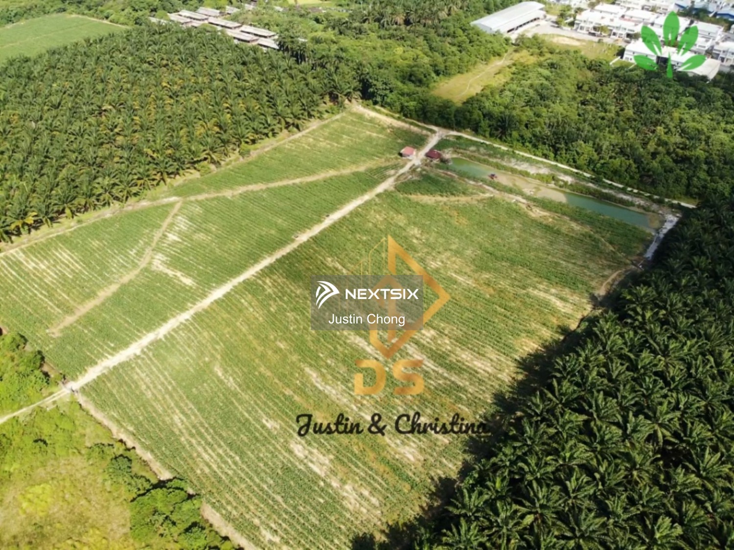 Agricultural Land For Sale in Ipoh Perak - Image 5