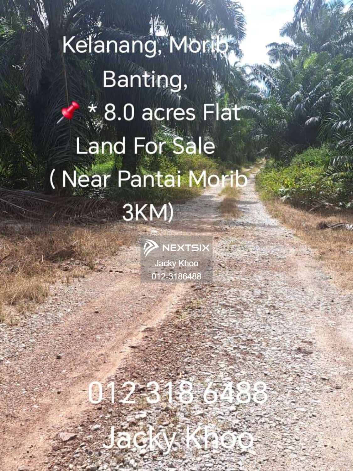 Agricultural Land For Sale in Banting Selangor