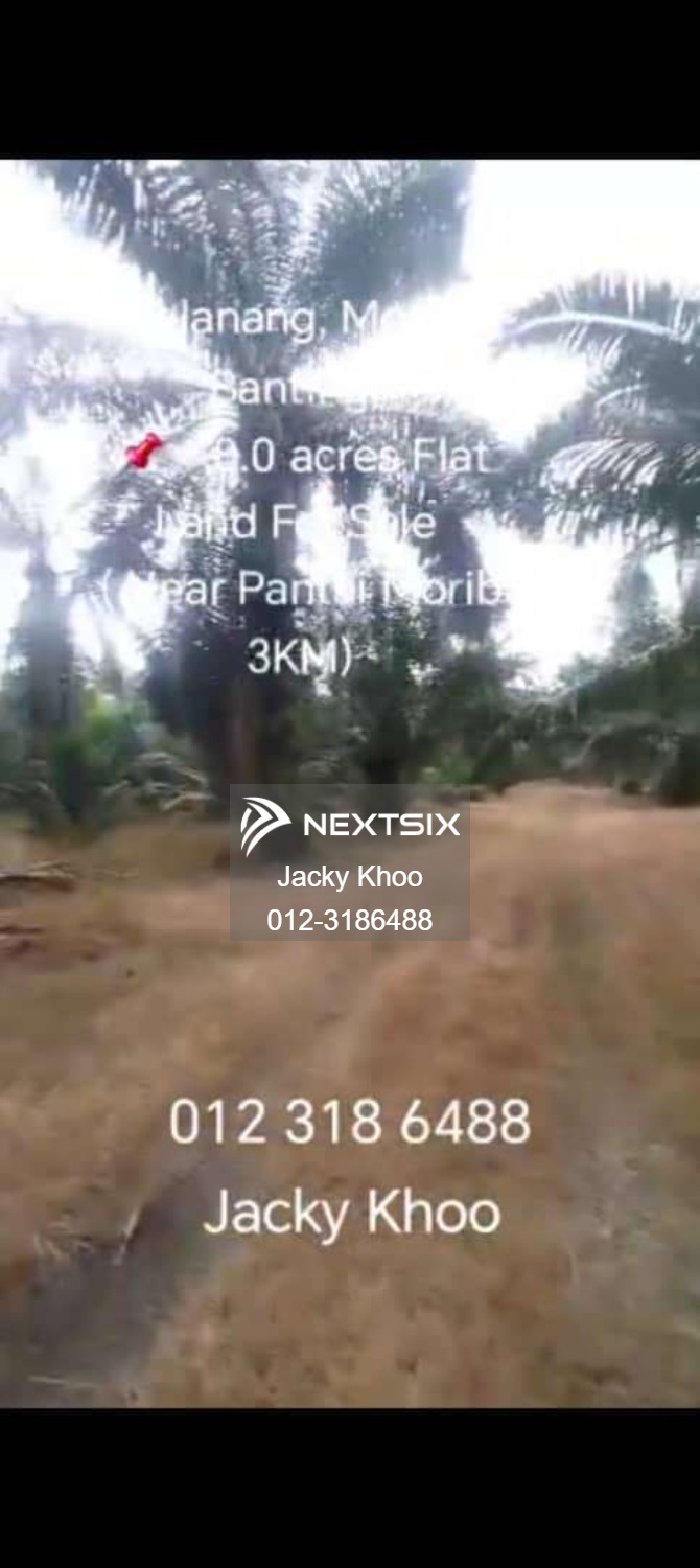 Agricultural Land For Sale in Banting Selangor - Image 5