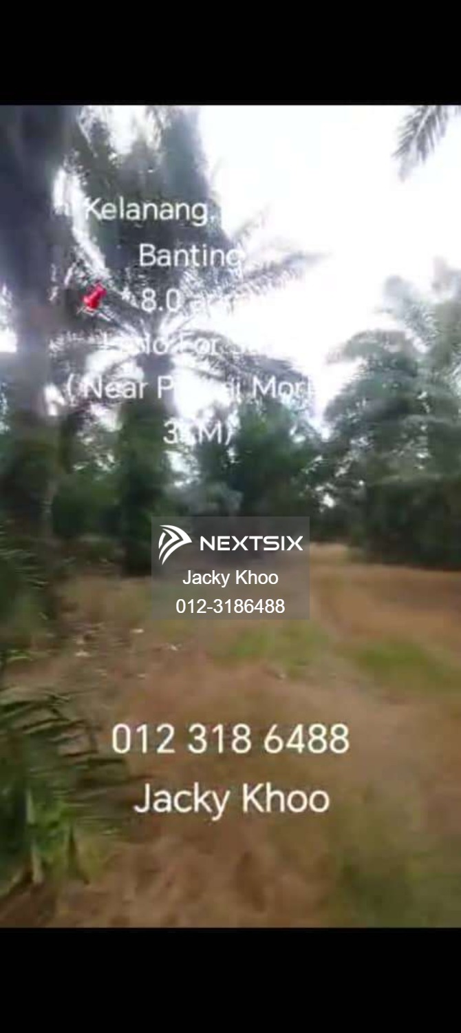 Agricultural Land For Sale in Banting Selangor - Image 7
