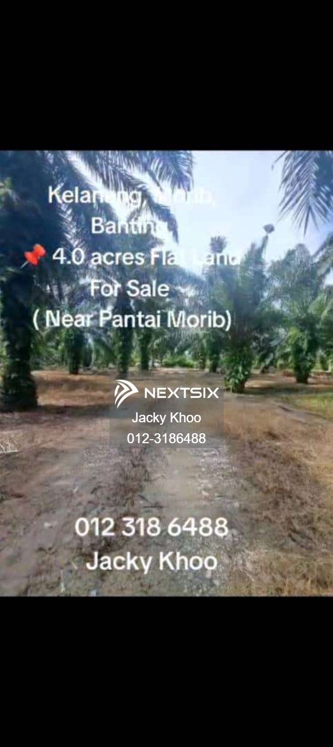 Agricultural Land For Sale in Banting Selangor
