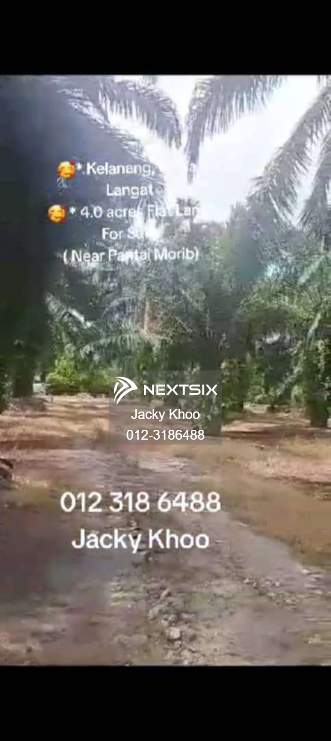 Agricultural Land For Sale in Banting Selangor - Image 2