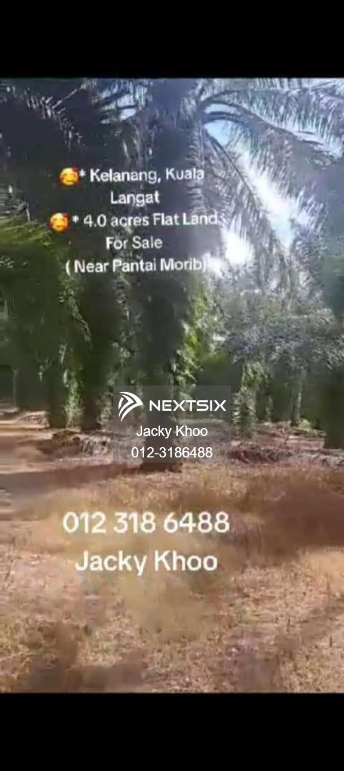 Agricultural Land For Sale in Banting Selangor - Image 3