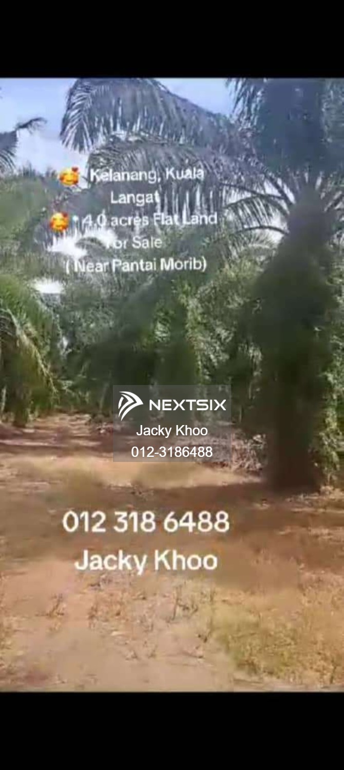 Agricultural Land For Sale in Banting Selangor - Image 5