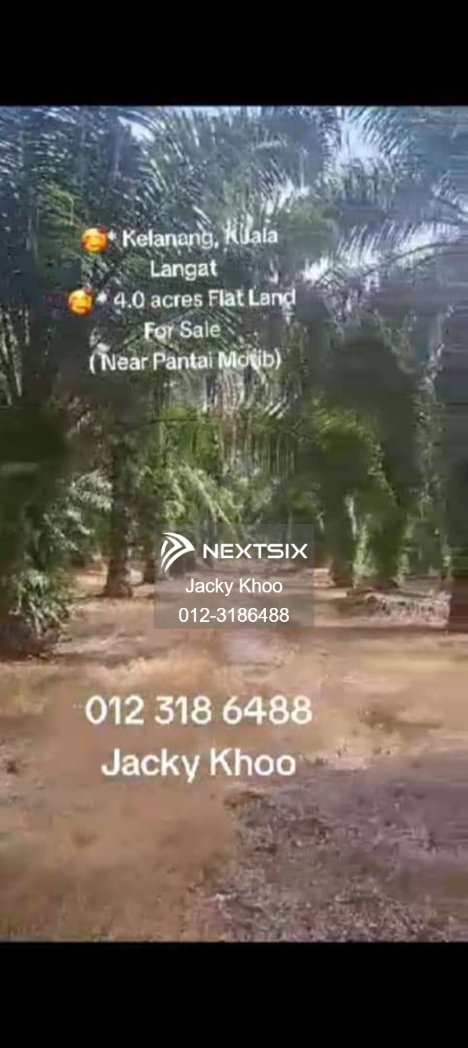 Agricultural Land For Sale in Banting Selangor - Image 6