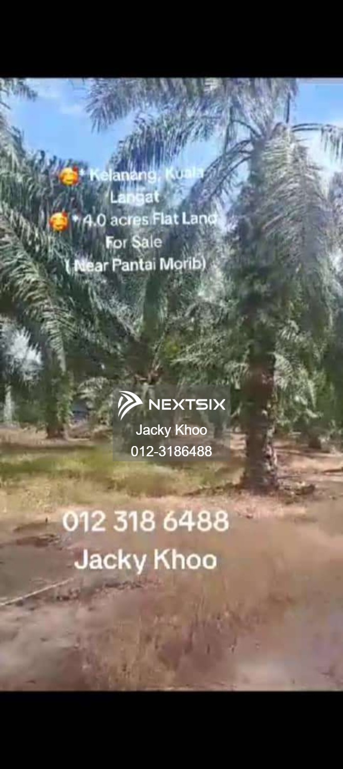 Agricultural Land For Sale in Banting Selangor - Image 7