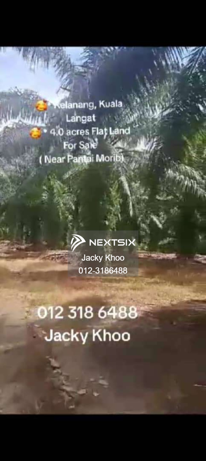 Agricultural Land For Sale in Banting Selangor - Image 8