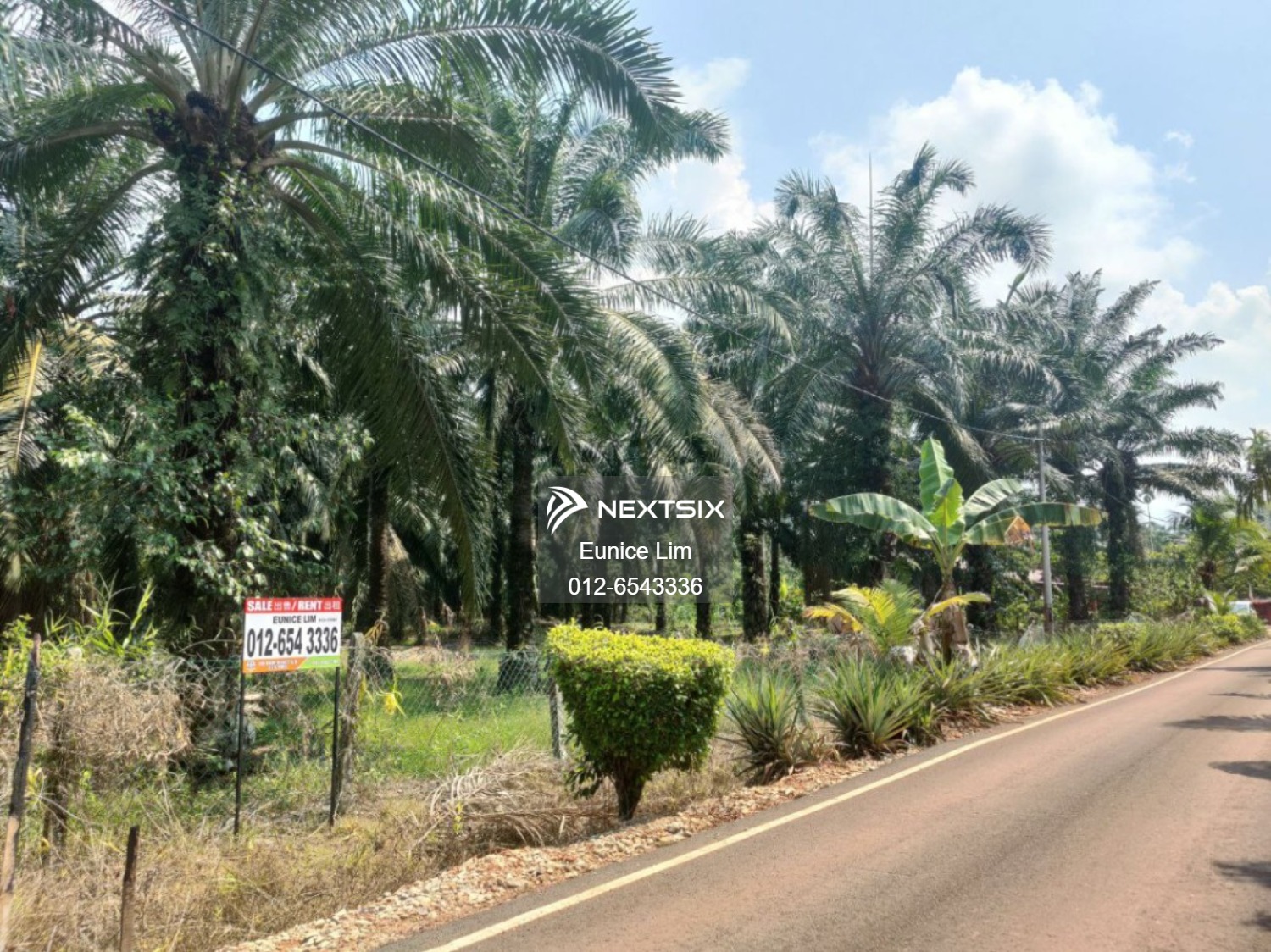 Agricultural Land For Sale in Bukit Pasir Johor