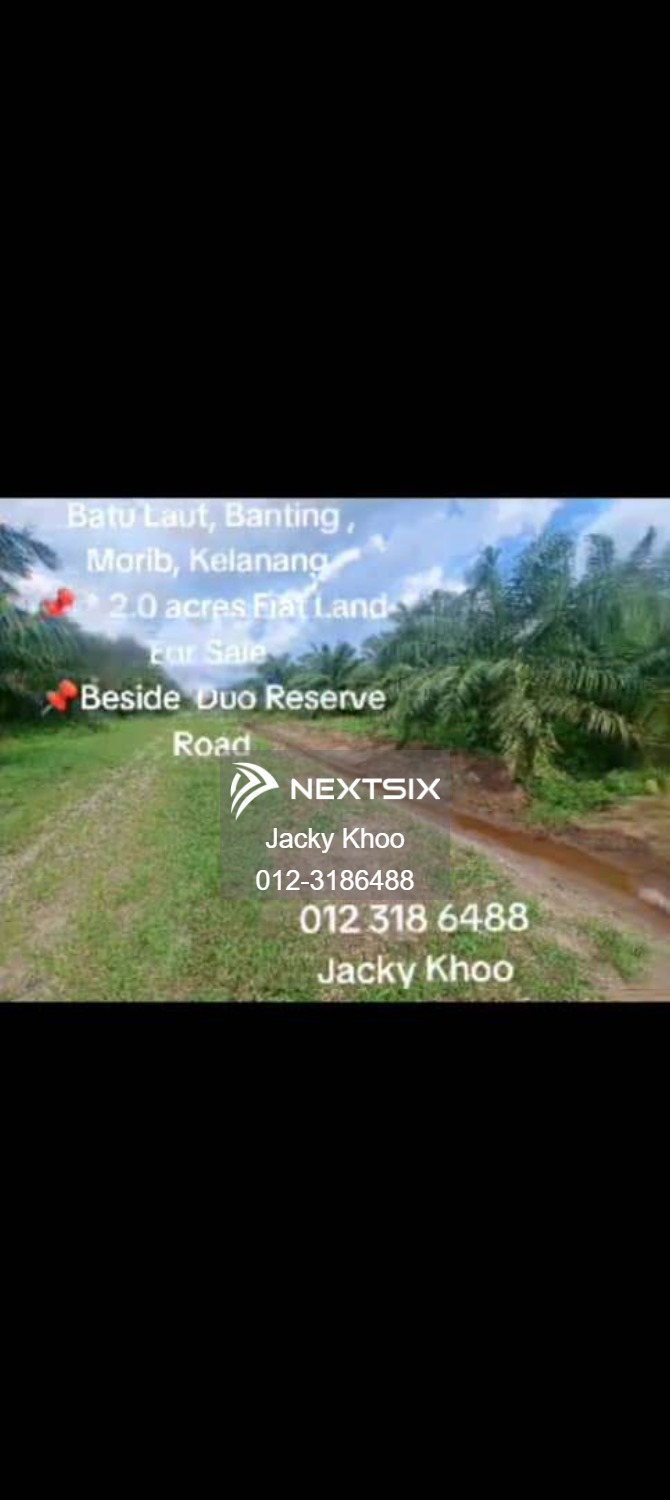 Agricultural Land For Sale in Banting Selangor