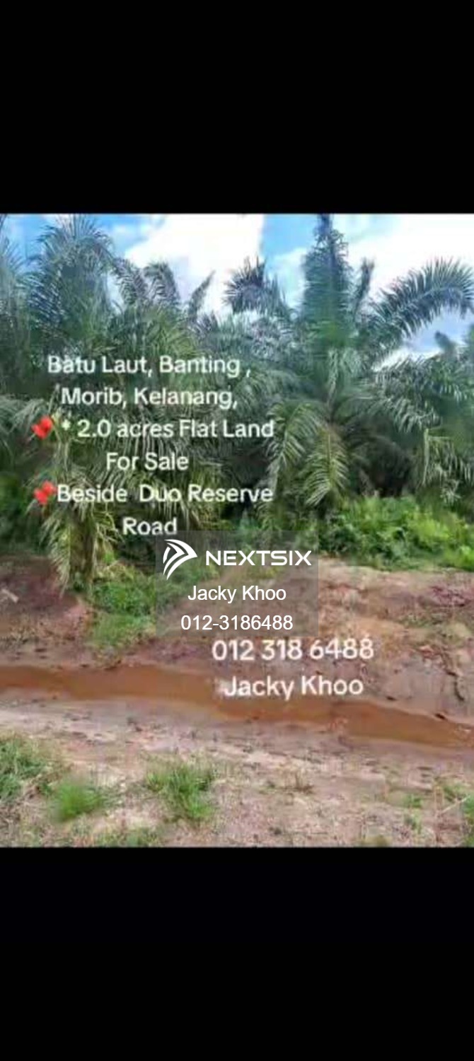Agricultural Land For Sale in Banting Selangor - Image 3