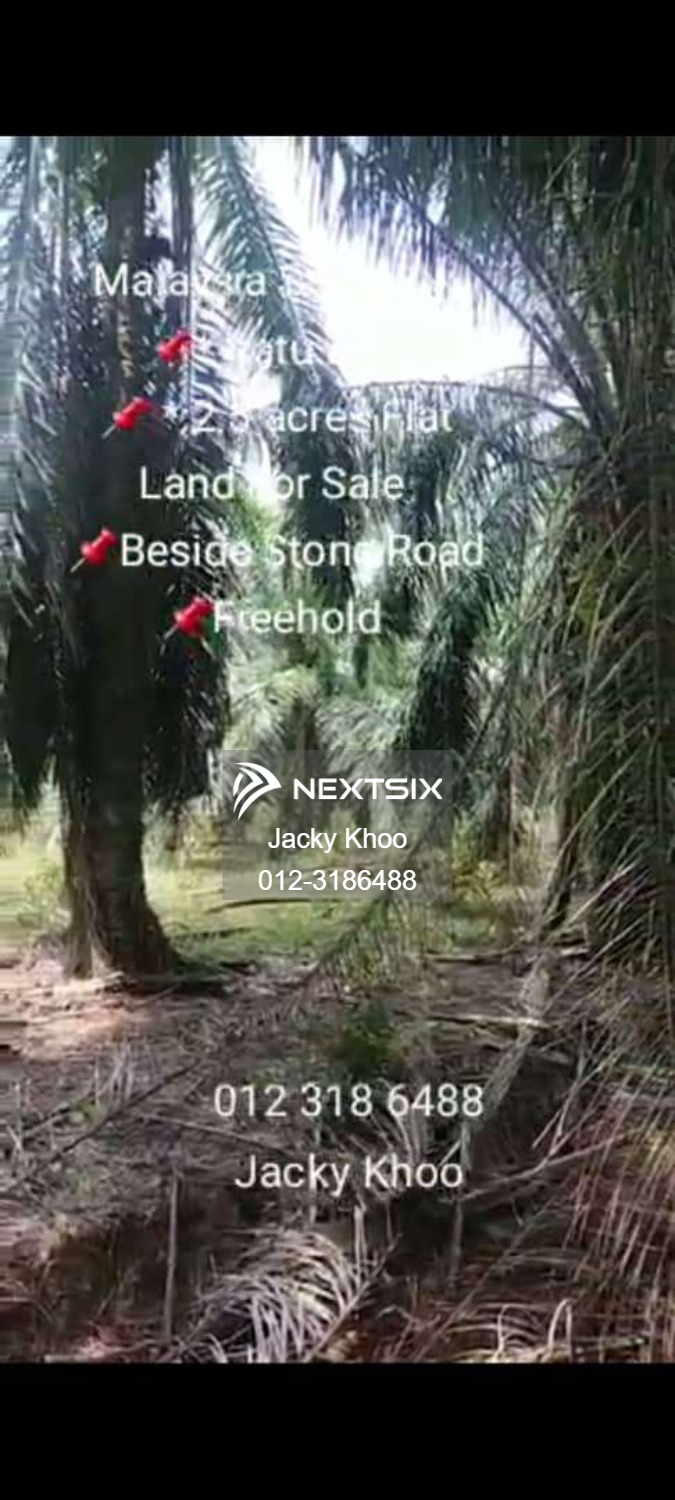 Agricultural Land For Sale in Banting Selangor - Image 4