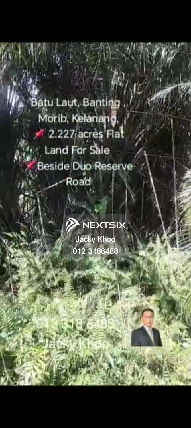 Agricultural Land For Sale in Banting Selangor