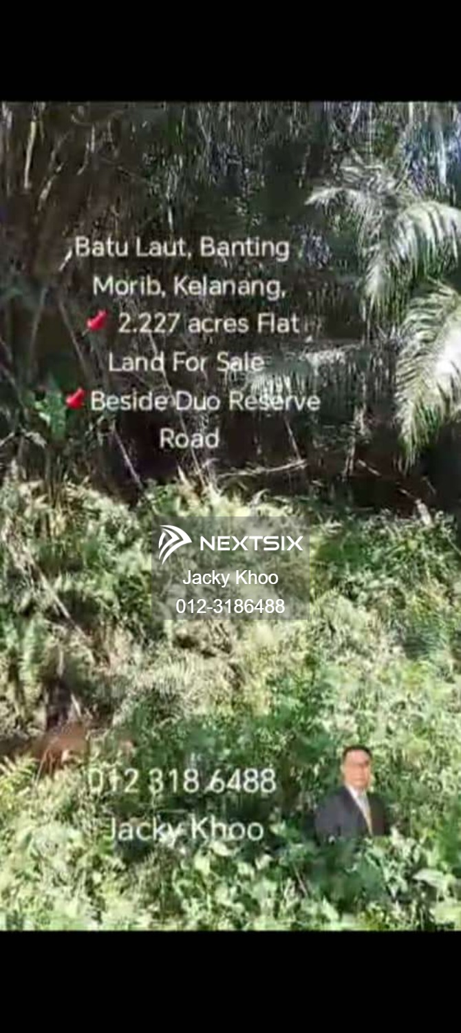 Agricultural Land For Sale in Banting Selangor - Image 2