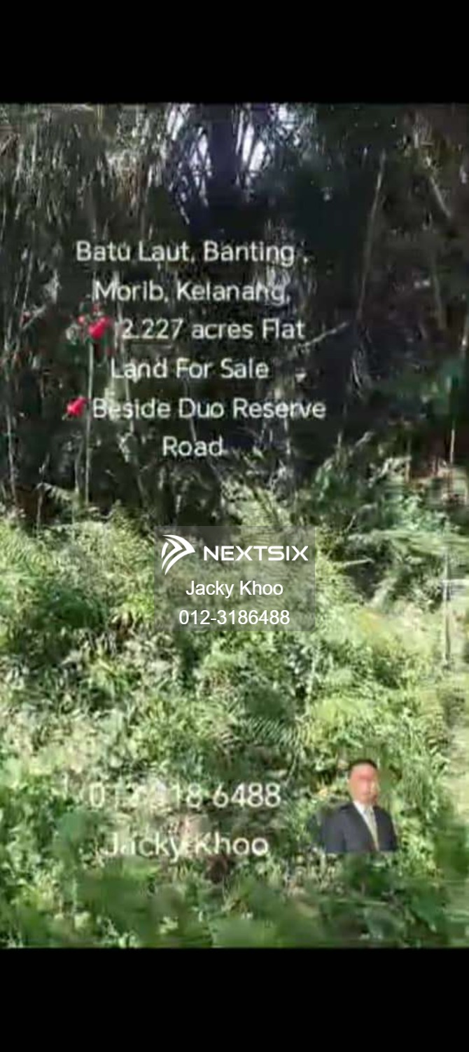 Agricultural Land For Sale in Banting Selangor - Image 3