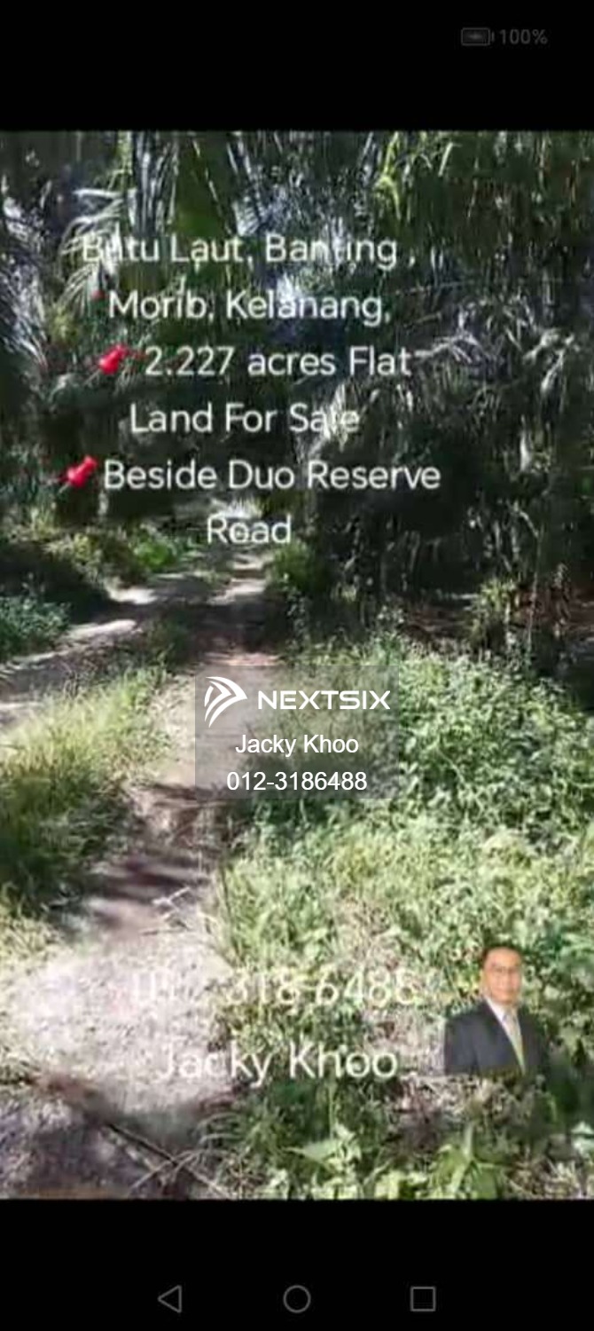 Agricultural Land For Sale in Banting Selangor - Image 4