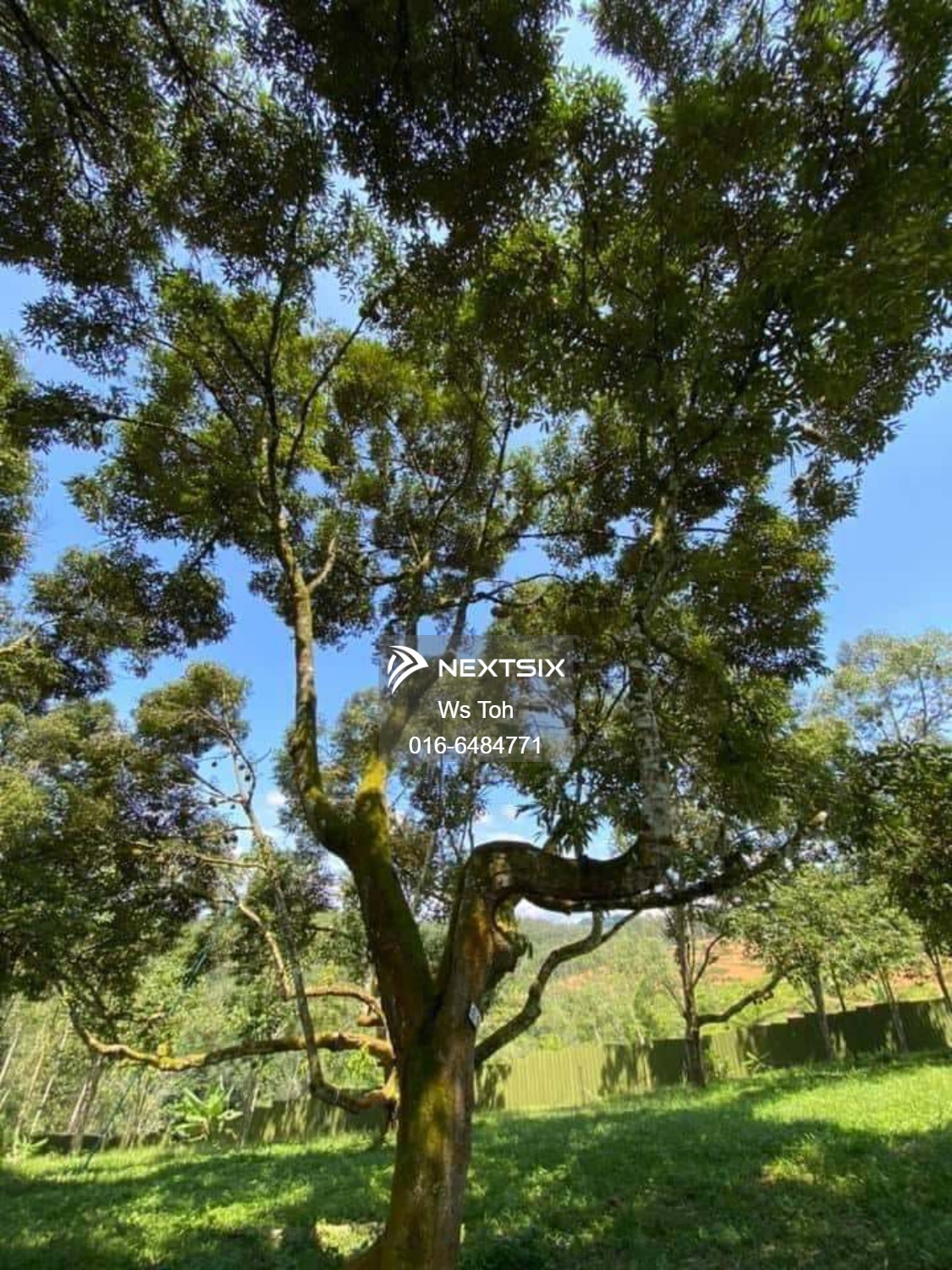 Agricultural Land For Sale in Jelebu Negeri Sembilan - Image 11