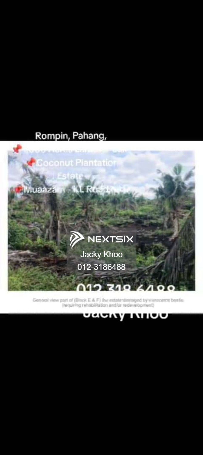 Agricultural Land For Sale in Rompin Pahang - Image 12