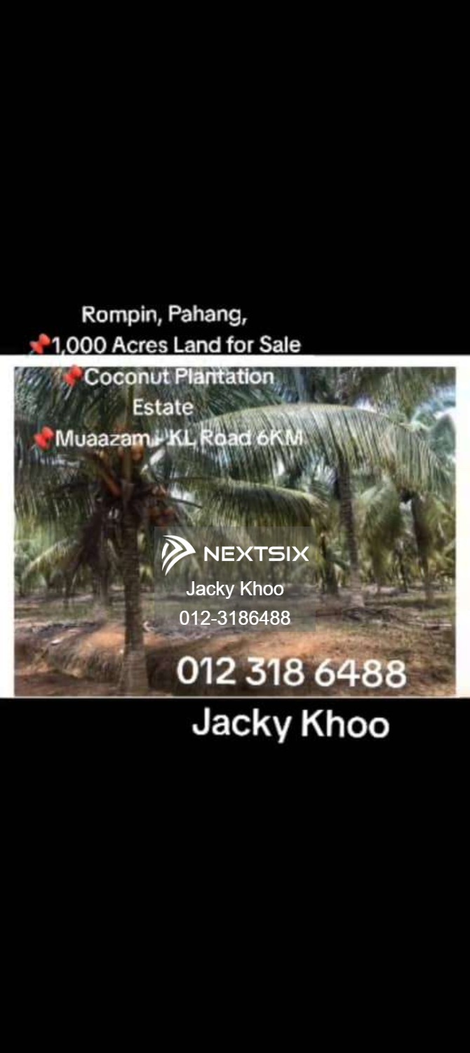 Agricultural Land For Sale in Rompin Pahang - Image 5