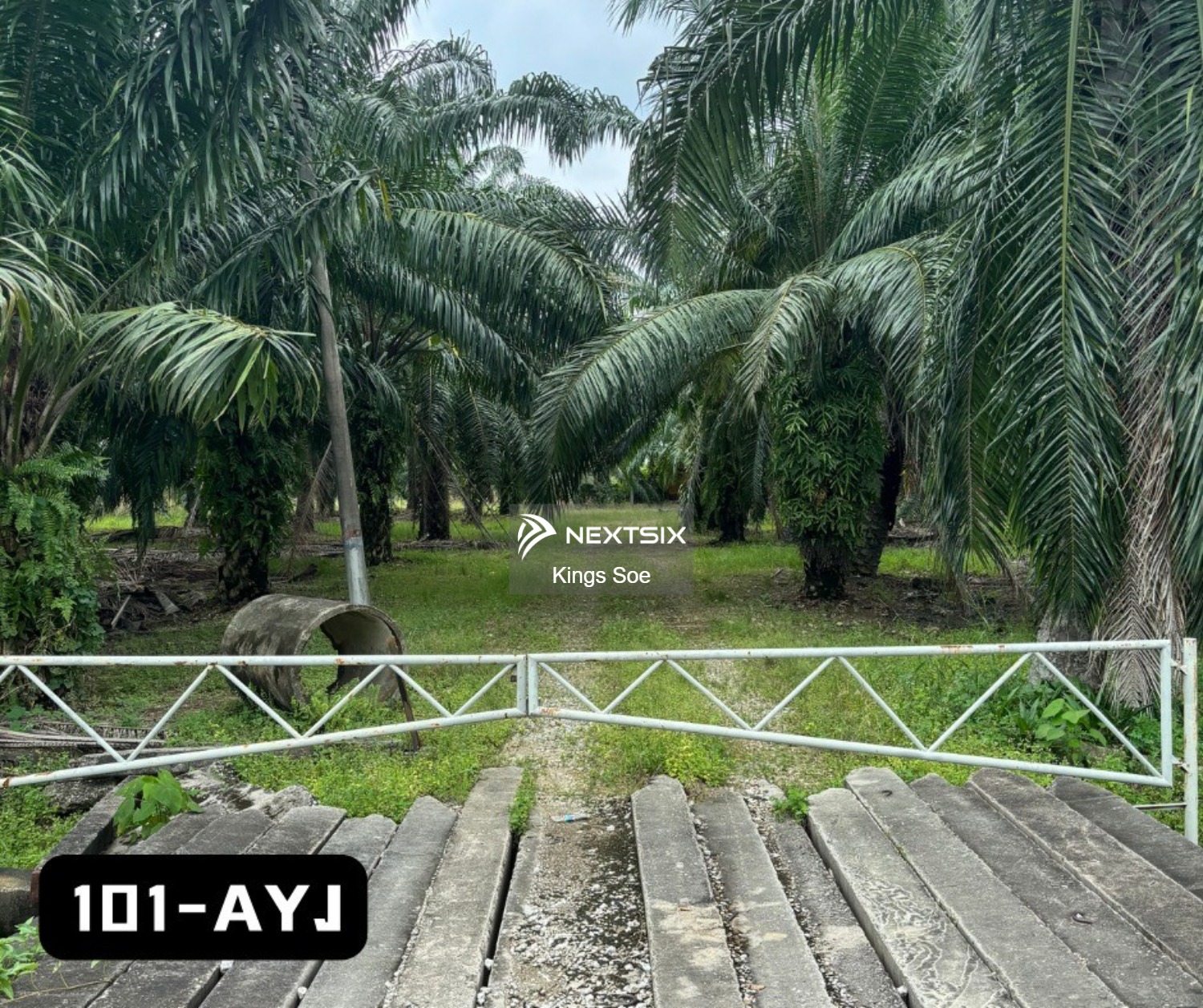 Agricultural Land For Rent in Klang Selangor