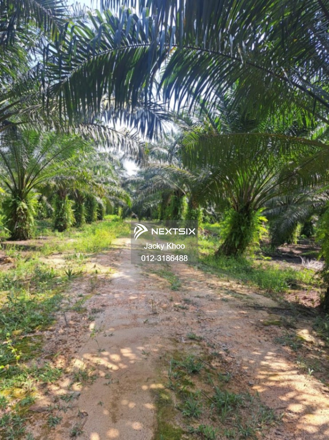 Agricultural Land For Sale in Simpang Perak - Image 2