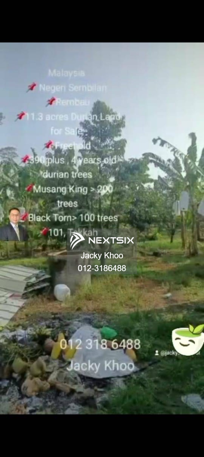 Agricultural Land For Sale in Rembau Negeri Sembilan