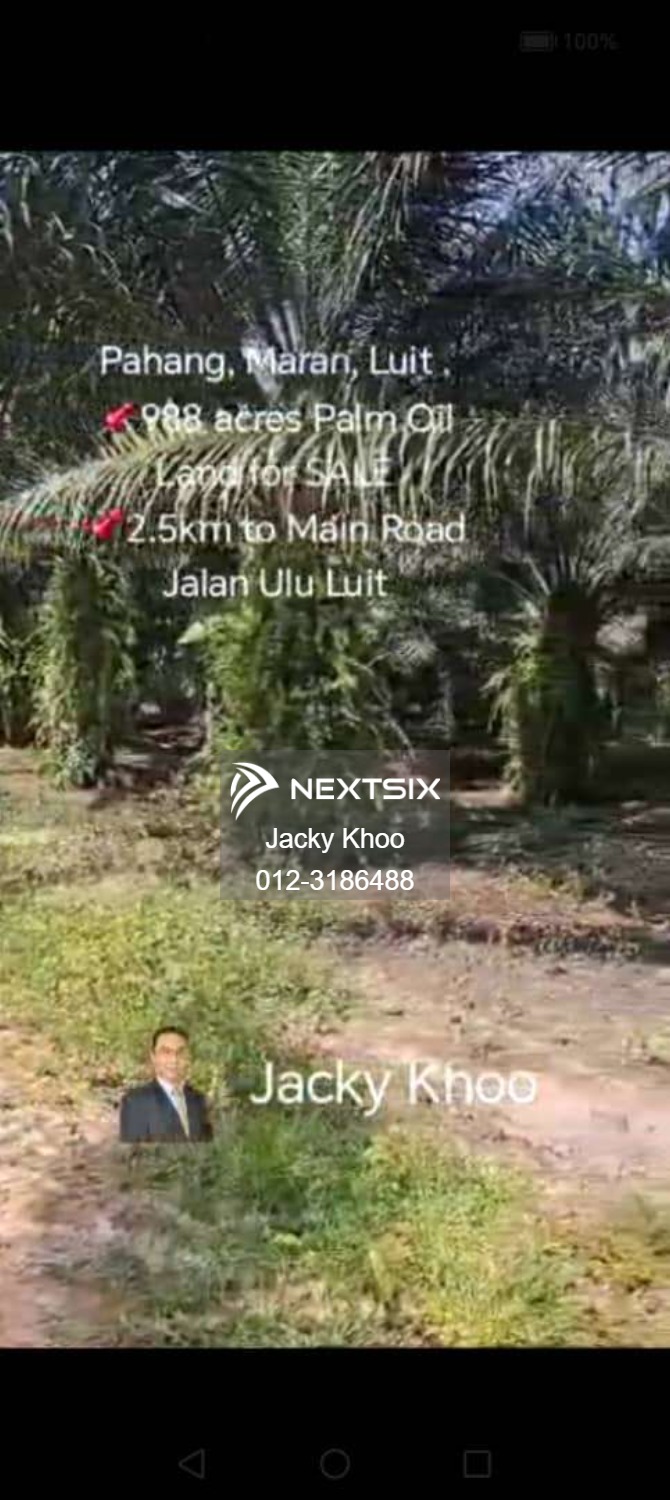 Agricultural Land For Sale in Maran Pahang