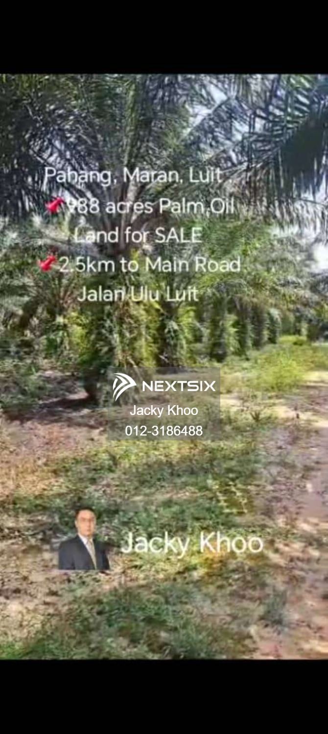 Agricultural Land For Sale in Maran Pahang - Image 3