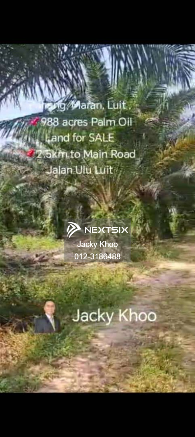 Agricultural Land For Sale in Maran Pahang - Image 4
