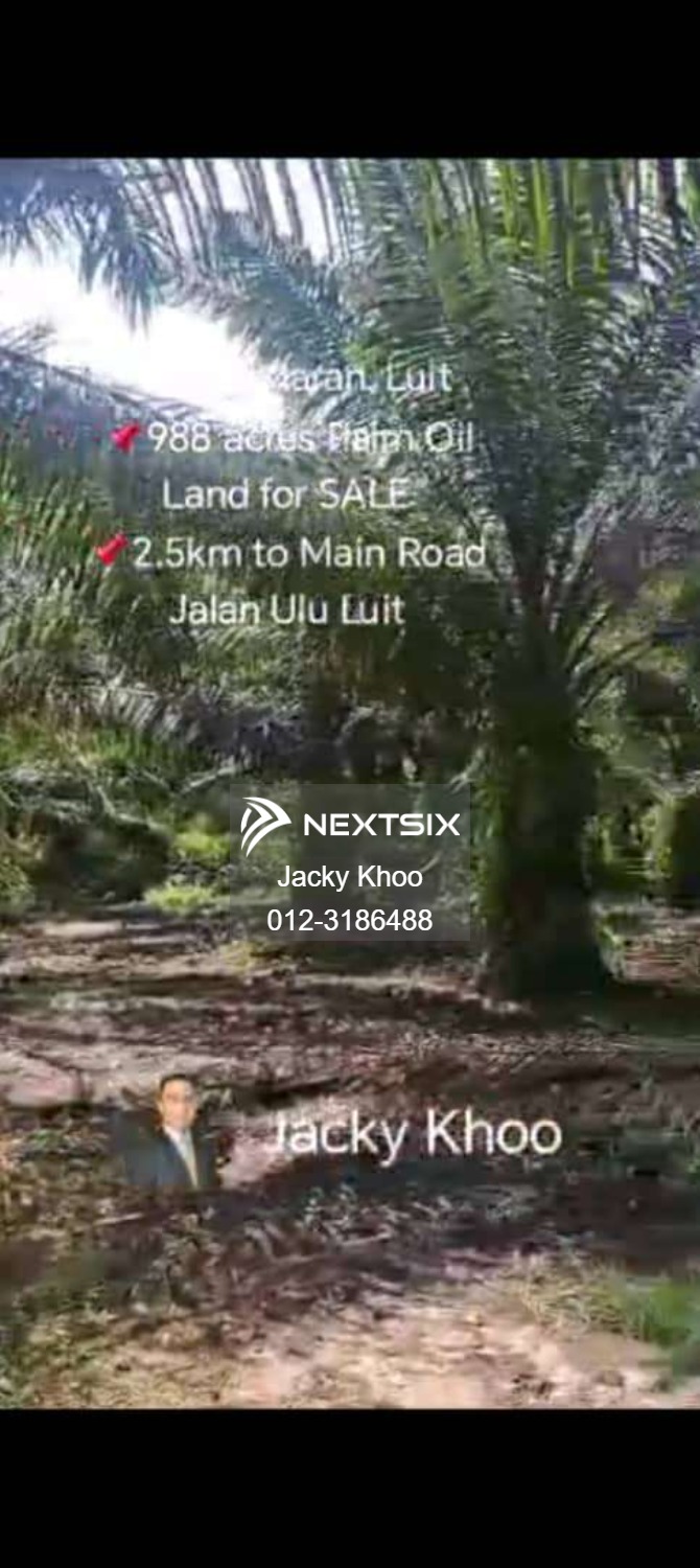 Agricultural Land For Sale in Maran Pahang - Image 5