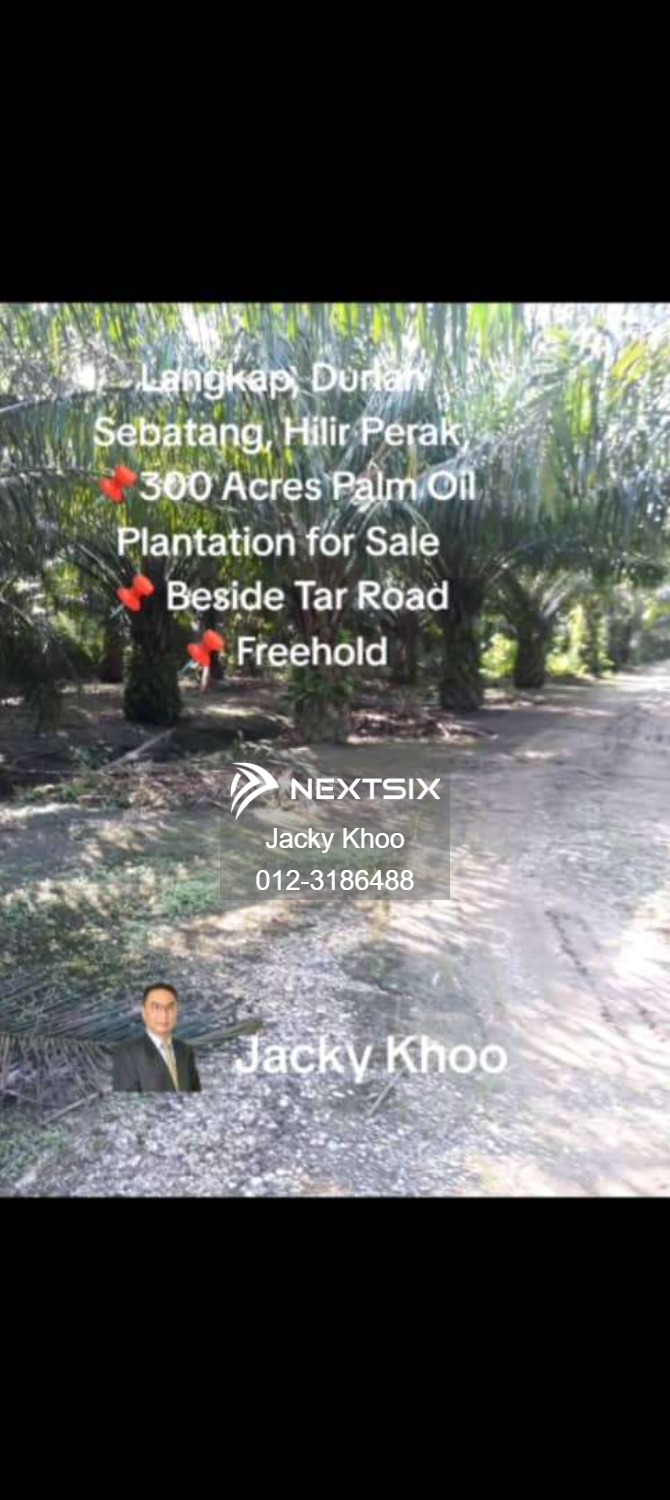 Agricultural Land For Sale in Langkap Perak