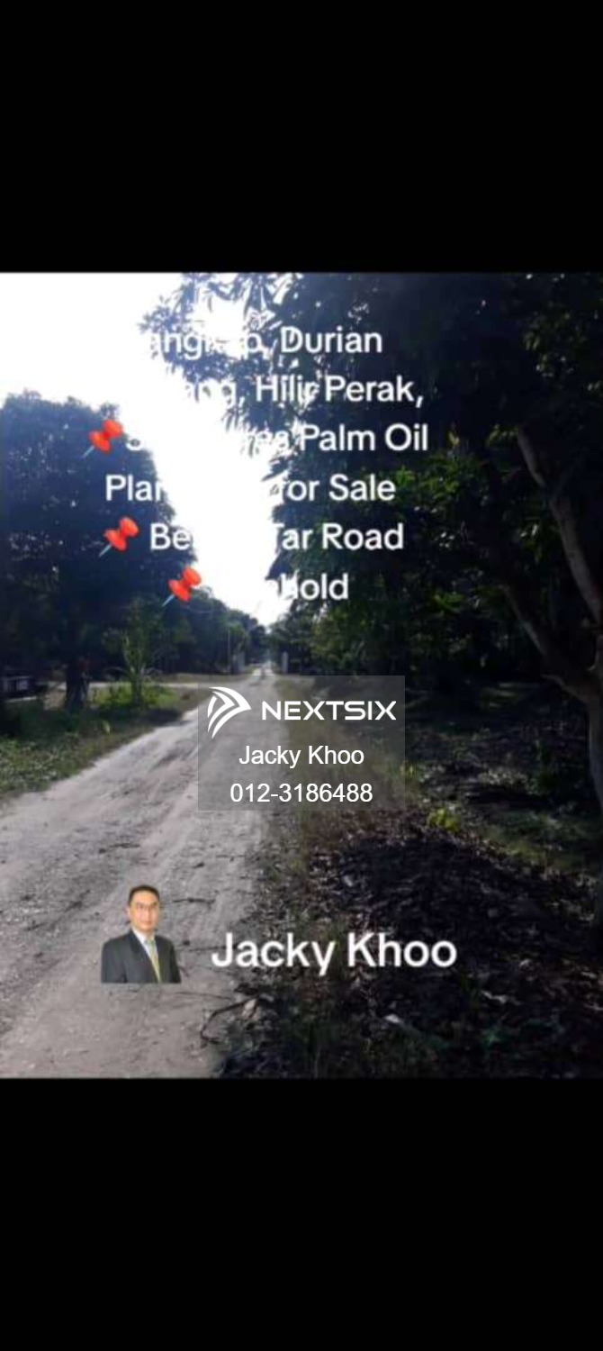 Agricultural Land For Sale in Langkap Perak - Image 3