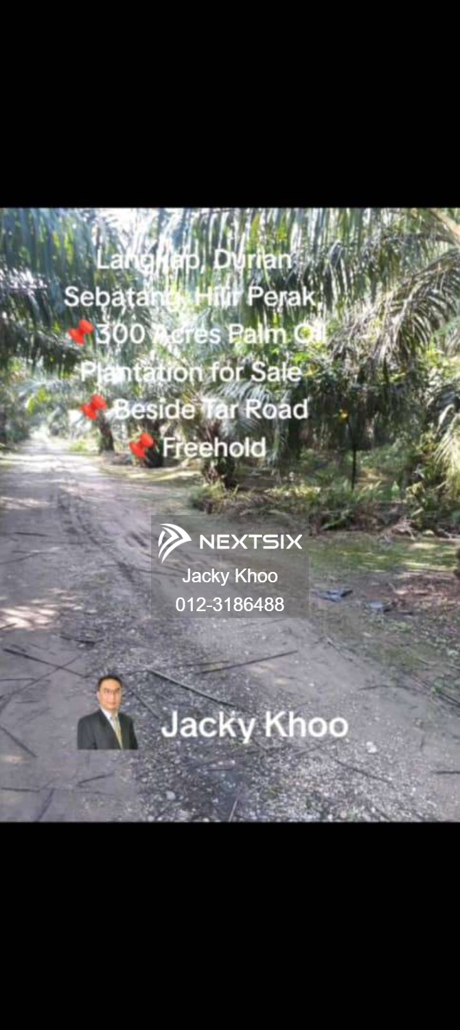 Agricultural Land For Sale in Langkap Perak - Image 4