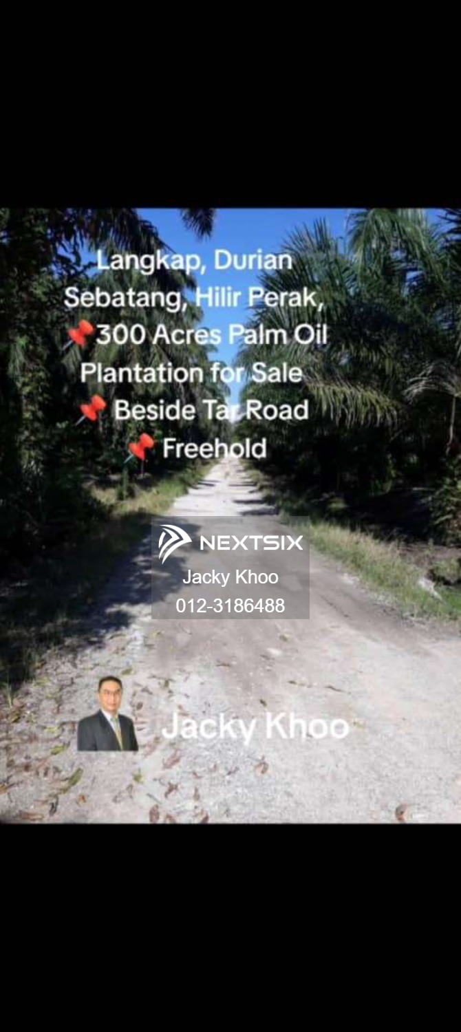 Agricultural Land For Sale in Langkap Perak - Image 5