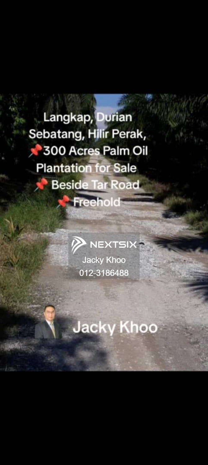 Agricultural Land For Sale in Langkap Perak - Image 6