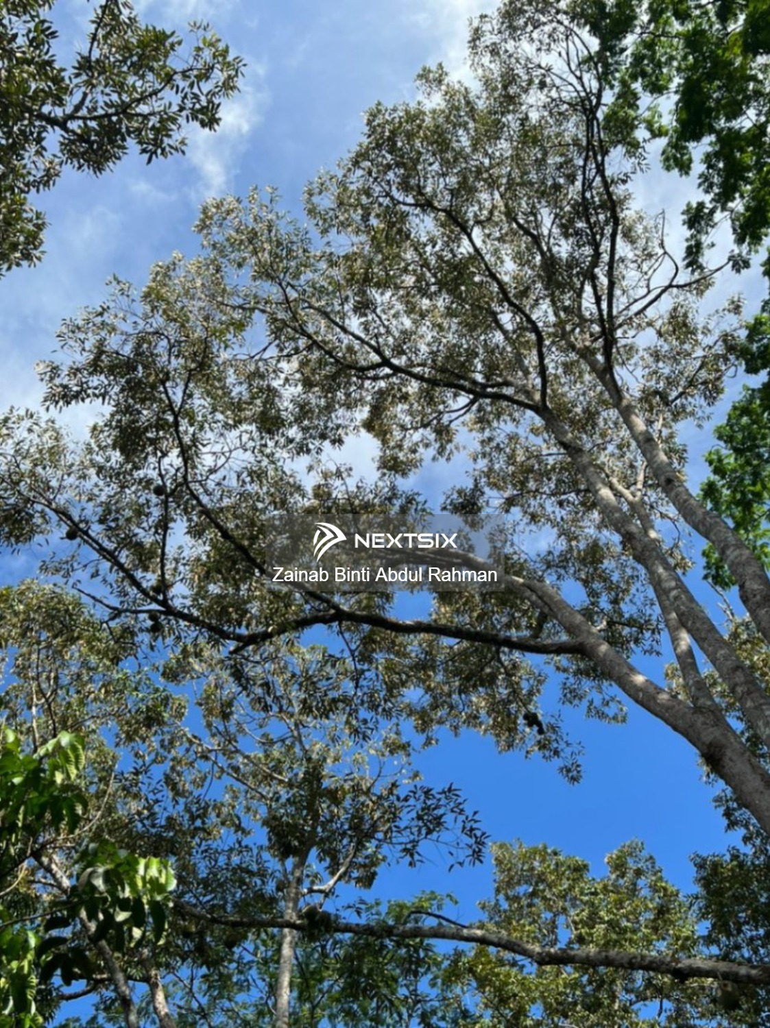 Agricultural Land For Sale in Kubang Pasu Kedah - Image 6